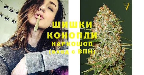 соль ск Кукмор