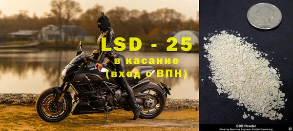 соль ск Кукмор