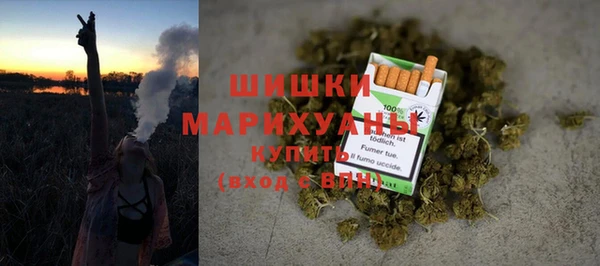соль ск Кукмор