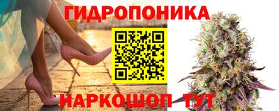 ешки Балахна