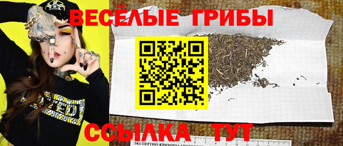 Галлюциногенные грибы Psilocybine cubensis Волгодонск