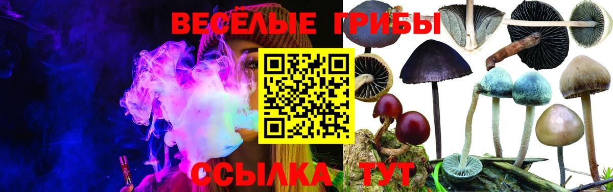 Галлюциногенные грибы MAGIC MUSHROOMS  Вход с VPN  Галлюциногенные грибы прущие грибы  Волгодонск 