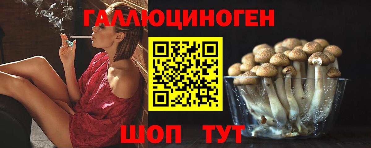 Галлюциногенные грибы мицелий  Волгодонск 